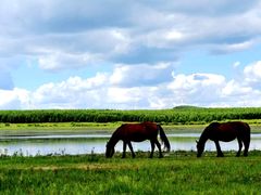 -塞罕坝国家级自然保护区