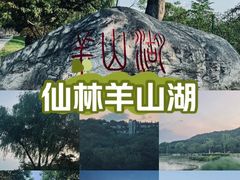 -羊山湖公园
