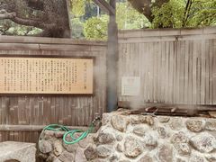 -别府杉乃井酒店