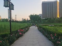 -西海子公园