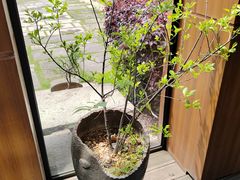 -黛瓦里·花园飨宴