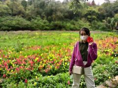 -云溪植物园