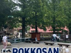 -神户市立六甲山牧场