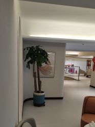 -柯莲娜医学美容