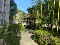 -斯瑞特国际酒店