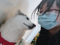 -Husky Go! 哈士奇体验馆·宠物咖啡厅狗咖