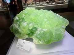 -湖南省地质博物馆