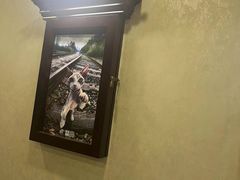 -宠爱国际动物医院·消化内科·心肾内科·ISFM猫友好(望京店)