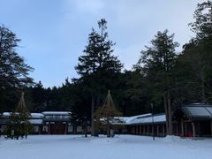 -北海道神宫