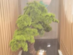 -洪福龙虾