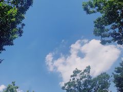 -马陆小张葡萄园农家乐