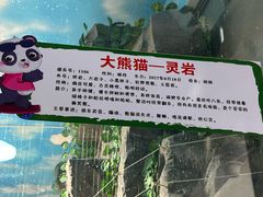 -栾川竹海野生动物园