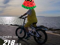 -野狸岛