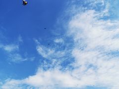 -玉泉威虎山森林公园