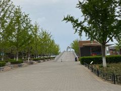 -大兴滨河森林公园