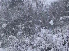 -亚布力新体委滑雪场