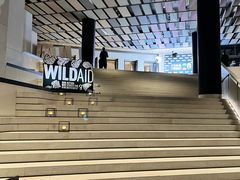 -北京三里屯CHAO酒店