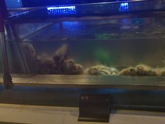 -V-ONE西雅图海鲜自助餐厅(仓山万达广场店)