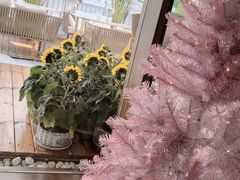 -天空花园餐吧·生日·团建(南山店)