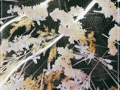 -龙船人海鲜城(长治路店)