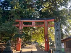-奈良公园
