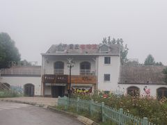 -大塘金香草谷