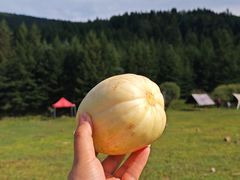 -芦芽山旅游度假区