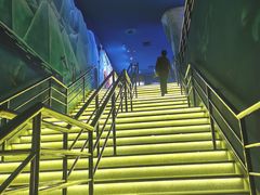 -上海海昌海洋公园-停车场