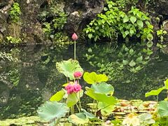 -浙江西子宾馆·瑶园咖啡厅