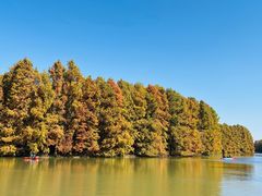 -上海海湾国家森林公园