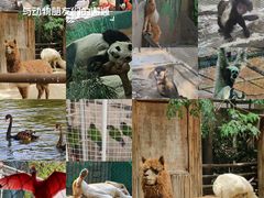 -郑州市动物园