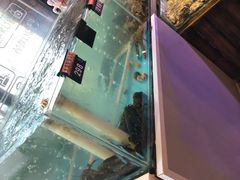 -四海蒸鲜蒸汽海鲜自助(北戴河店)
