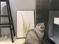 -Oasis绿洲银饰珍珠手作diy(壹方城店)