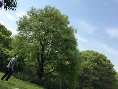 -东湖落雁景区