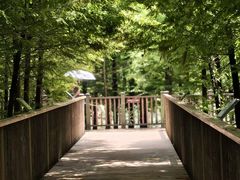 -双山岛