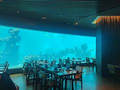 -海棠湾洲际-涛·海底餐厅·美人鱼·自助餐·海底隧道