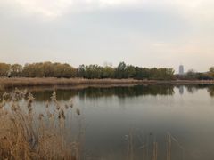 -永定河休闲森林公园