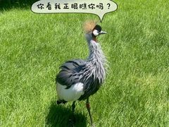 -北京野生动物园