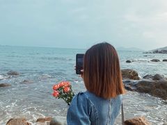 -广东惠东海龟国家级自然保护区
