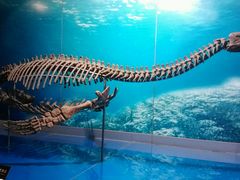 android_upload_pic-自贡恐龙博物馆