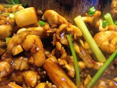-老佛爷蛙锅•鲜蛙煲(麦凯乐店)