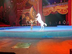 -珠海横琴长隆《卡卡虎奇遇记》