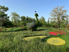 -泗洪洪泽湖湿地景区