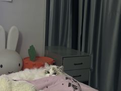 -酷狗靓猫宠物·洗护·美容·寄养(航北路店)