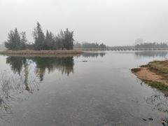 -五里桥文化公园-西侧停车场