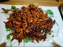 -佶政筋饼·新概念(安阳路店)