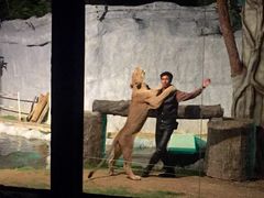 -清迈夜间动物园