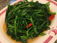 -中国城银都鱼翅酒楼