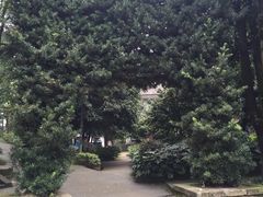 -重庆抗战遗址博物馆