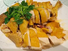 -黄B湛江鸡饭店(粤垦路店)